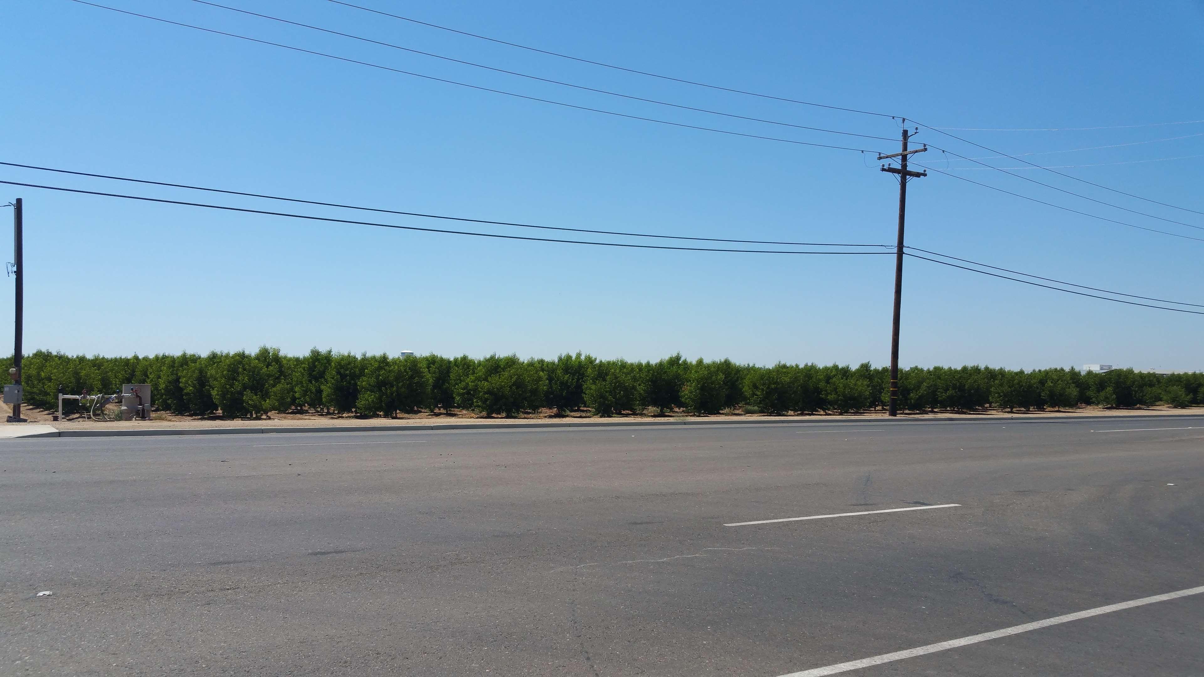 Best Western Americana Dinuba Exterior photo